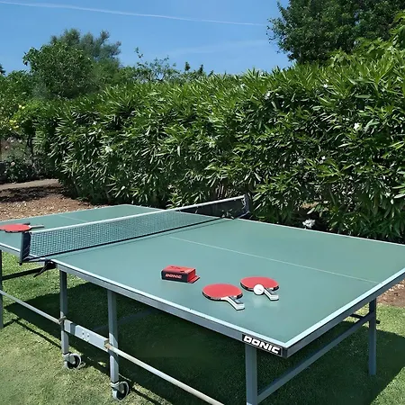 Vila Almendra Boi Pollença