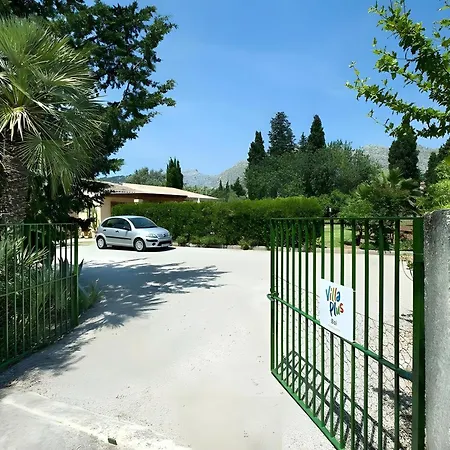 Almendra Boi Vila Pollença